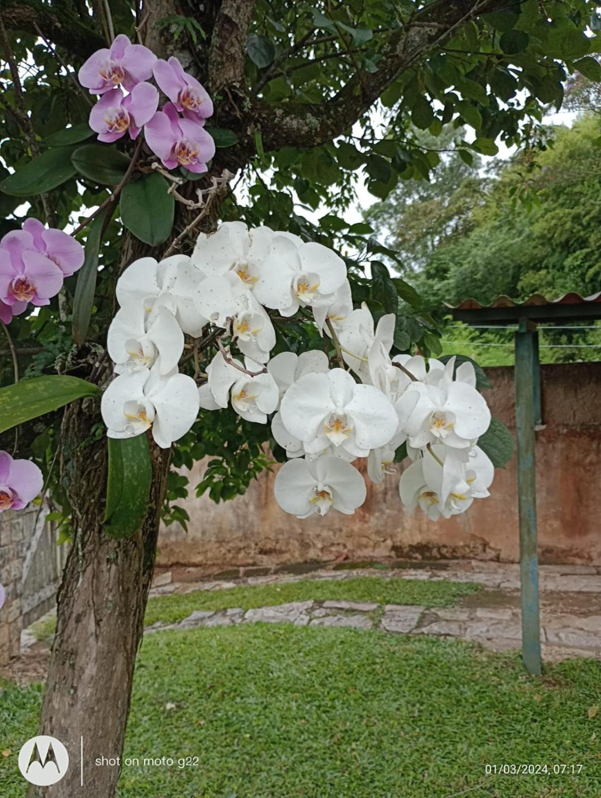 Casa Aconchegante Em